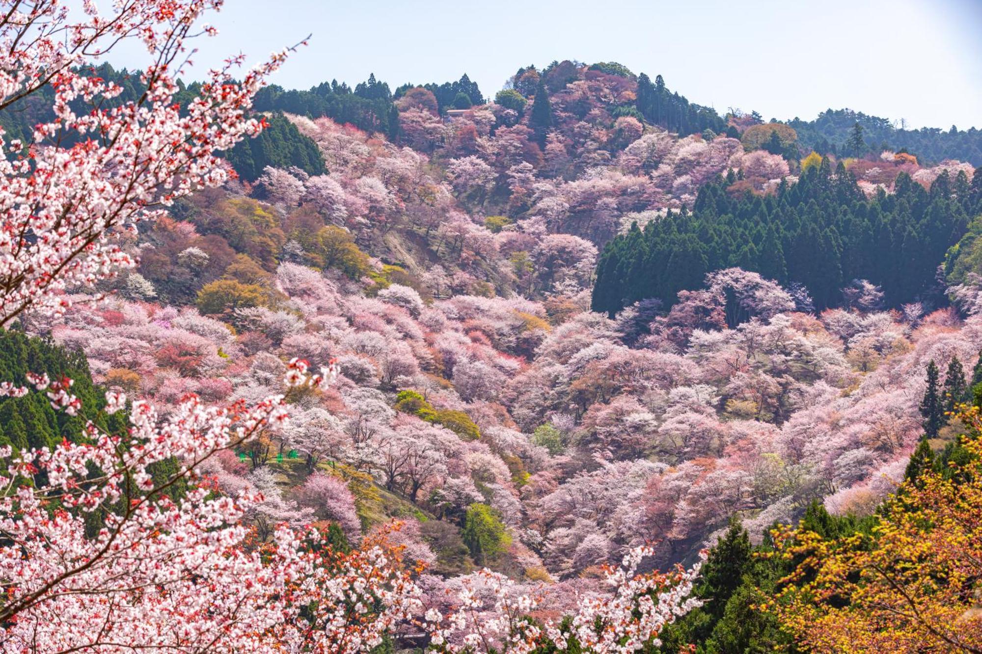 ホテル Marufukuro 京都市 エクステリア 写真